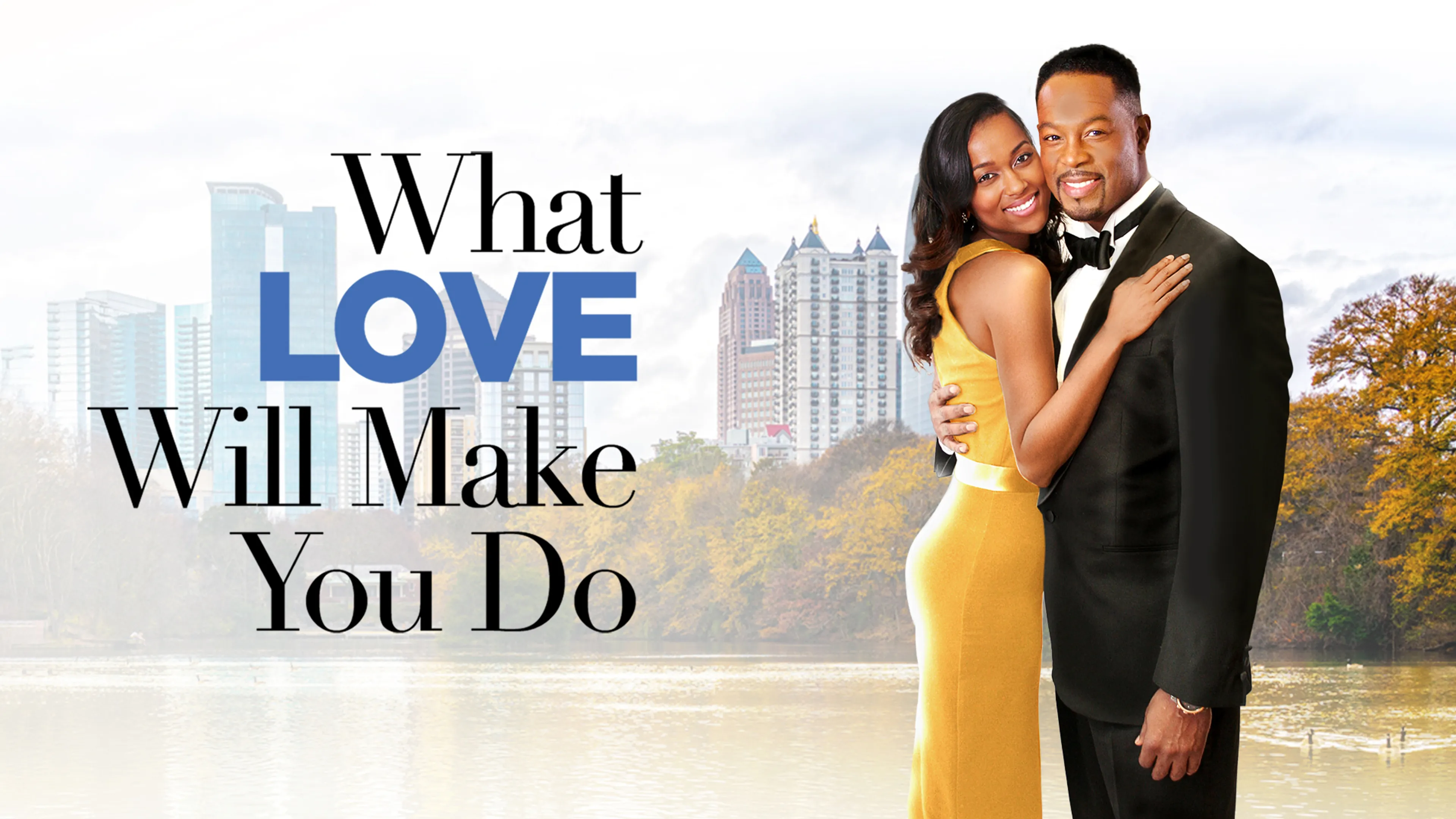 What Love Will Make You Do poster